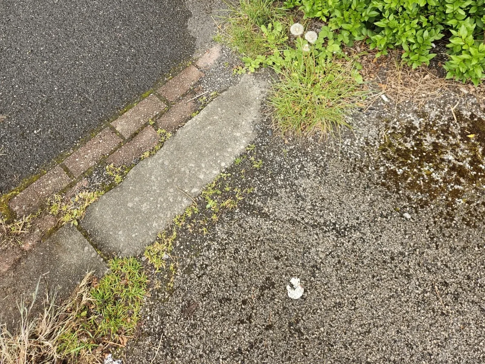 Driveway edge clean before OCD Services work