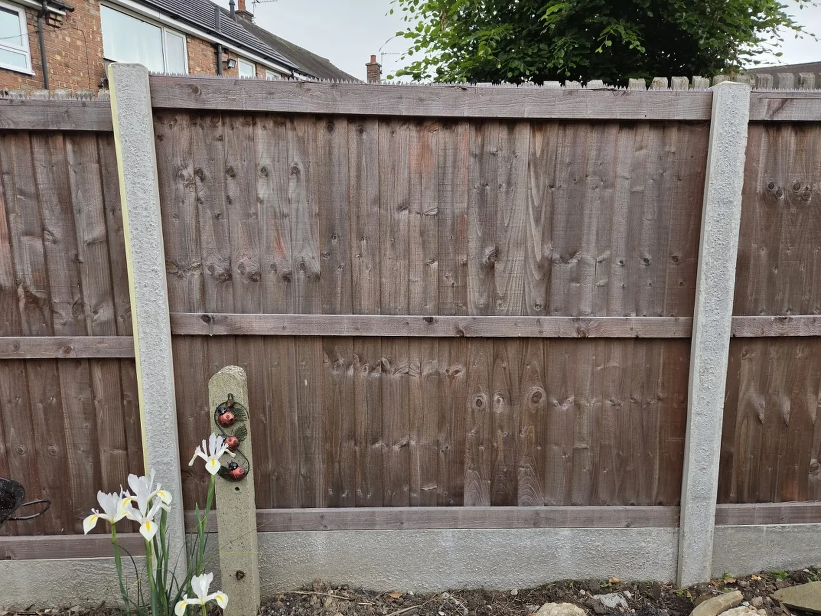 Fence transformation before OCD Services work
